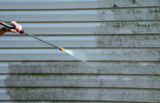 Best Soft Washing for Delicate Surfaces in Rochester, IN
